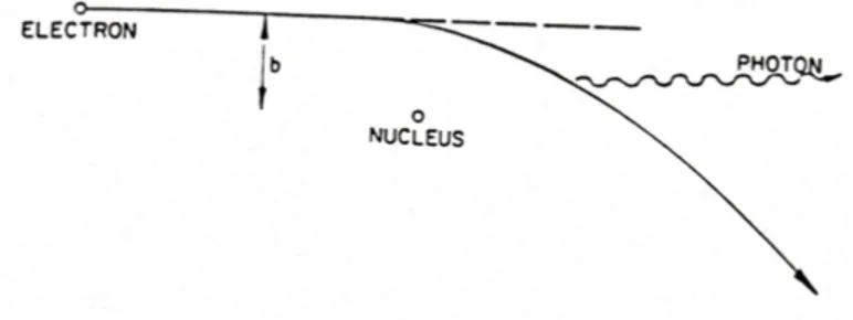 Figura 2.1: Interazione Ione-elettrone