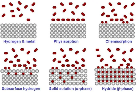 Figura 2.1: Fasi della formazione degli idruri metallici [6].