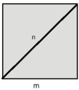 Figura 1.1: Lato e diagonale di un quadrato