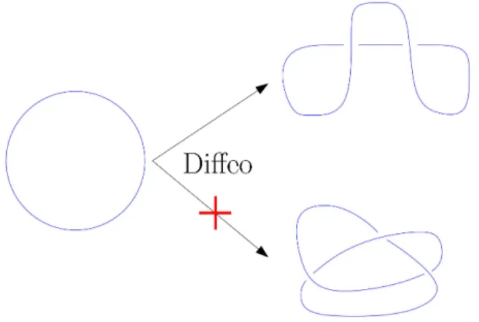 Figure 1.5: A diffeomorphism can change the way a graph is embedded in Σ, but not the presence of knots within the graph.