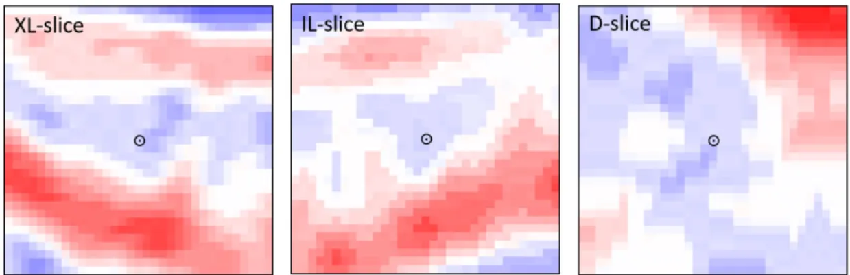 Figure 3.21: D-translation data-augmented windrose patch of size N patch = 33. This