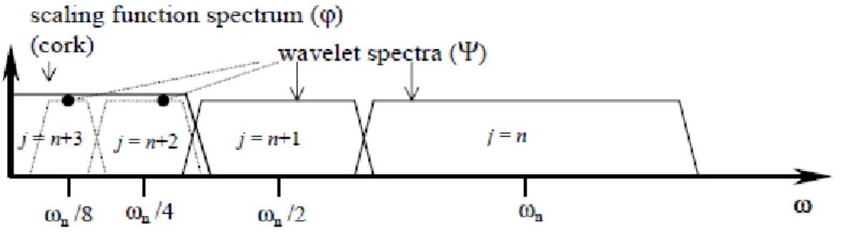 Figura 2.8: Come un'unica funzione di ridimensionamento possa sostituire infinite wavelet (tratta da [19])