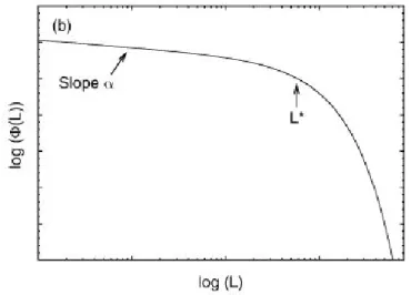 Figura 1.2: Plot schematico della funzione di Schechter. ` E possibile distinguere l’andamento a legge di potenza per L &lt; L ∗ e la decrescita esponenziale per L &gt; L ∗ .