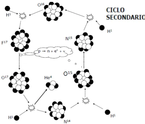 Figura 2.2.2: Primo ciclo secondario del processo CNO