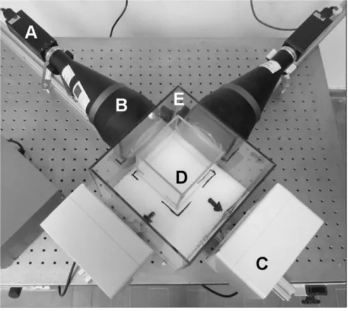 Figure 3.1: An image of the experimental setup taken from [Bia+13]. The labelled components are respectively: a digital camera (A); a telecentric lens (B); an infrared light source (C); a 1 ℓ aquarium containing the samples (D); an empty 8 ℓ aquarium used 