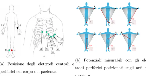 Figura 2.1: Posizionamento degli elettrodi e segnali acquisibili dal corpo del