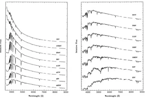 Fig. 2.2: Spettri di stelle di sequenza principale di dierente classe spettrale, da O a K [Silva and Cornell, 1992].