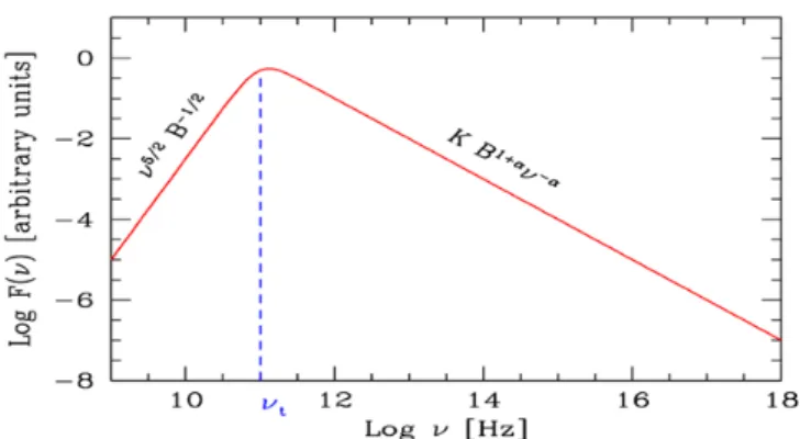Fig. 1.5: spettro di sincrotrone auto-assorbito, nell’immagine B=H e 