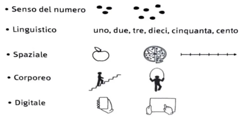 Figura 1.6: Componenti che contribuiscono alla costruzione della conoscenza numerica ([12]).