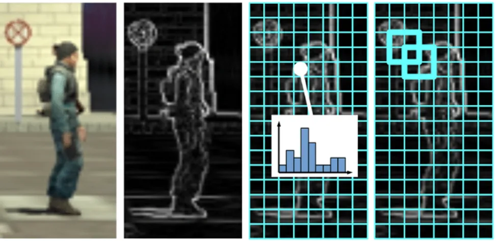 Figura 2.2: Algoritmo HOG. Da sinistra verso destra: (a) immagine di in- in-put; (b) immagine ottenuta dal calcolo dei gradienti; (c) l’immagine  mo-stra il partizionamento in celle, in cui ogni cella contiene l’istogramma dei gradienti; (d) l’immagine mos
