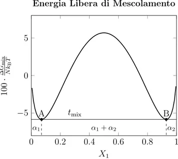 Figura 1.5: Energia libera di mescolamento in funzione della frazione di componenti di tipo 1