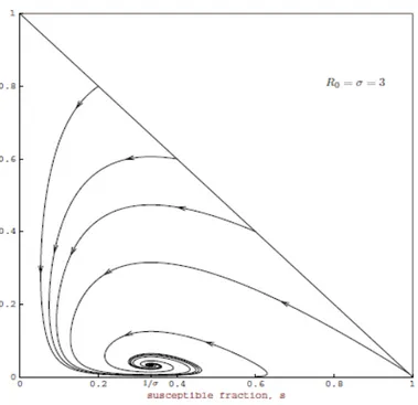 Figura 2.4: Piano delle fasi SI per il modello endemico SIR con numero di contatto σ = 3, periodo medio di infezione 1/γ = 3 giorni e tempo medio di vita 1/δ = 60 giorni