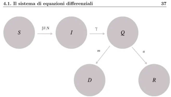 Figura 4.1: Schema del modello con i tassi di passaggio tra classi