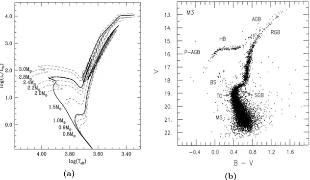 Figura 1.4: (a) Diagramma HR raffigurante le tracce evolutive di stelle con masse specificate