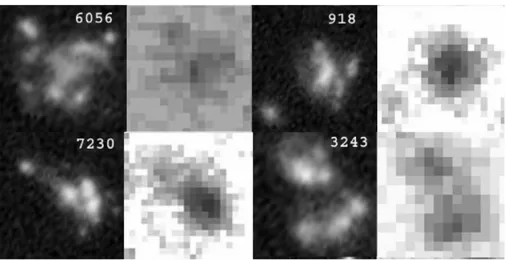 Figura 1.15: Esempi di quattro clumpy galaxies, dove a sinistra è mostrata l’immagine