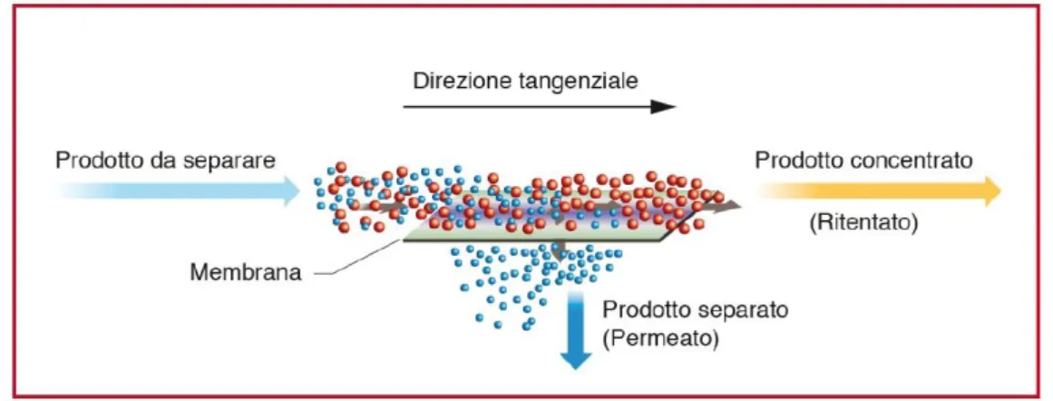 Figur a 12  –  Fl usso t angenzi al e al  s etto  fi ltrant e  