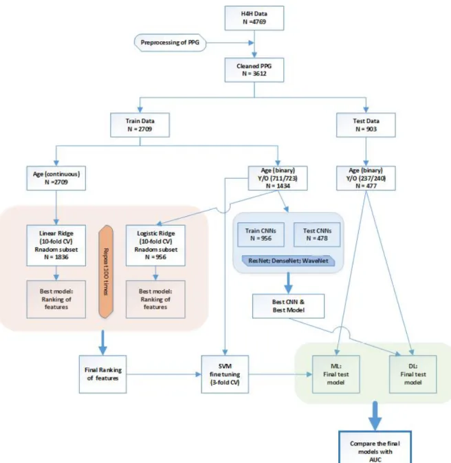 Figure 4.4: Workflow of PPG analysis to predict healthy vascular ageing (HVA) using ML and DL approaches.