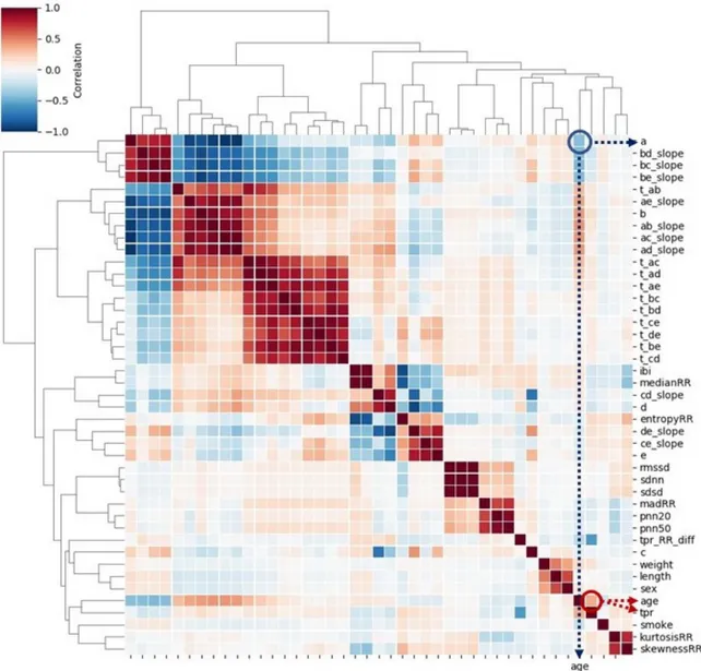 Figure 4.5: Heatmap of Pearson correlation between 38 features extracted from PPG, four covariates, and age: the feature a and age shows negative correlation, while tpr and age are positively correlated.