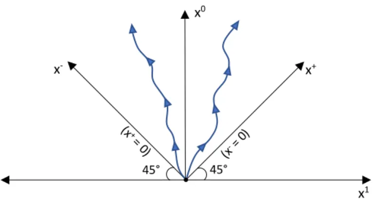 Figura 1.1: Si riporta un diagramma dello spaziotempo con x 0 e x 1 rappresentati come assi ortogonali