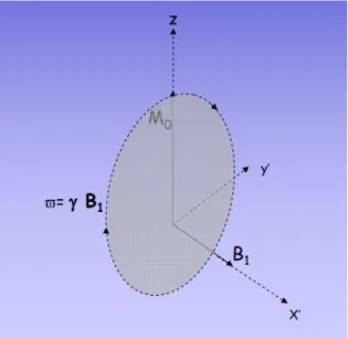 Figura 1.6 - Rotazione di M attorno al campo magnetico B 1  nel piano y’z alla frequenza di Larmor (presa da ref