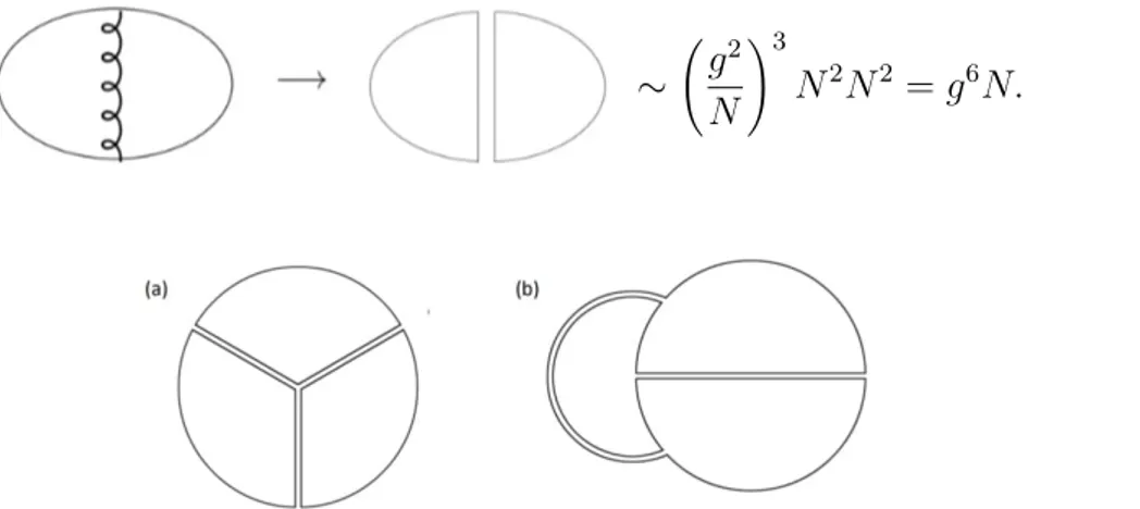 Figure 2.9: Two examples of bubble diagrams involving a single quark loop. Diagram (a) is a leading order one, since the quark loop runs around the boundary and consequently it is topologically equivalent to a sphere with one hole