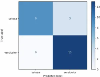 Figure 2.1: Confusion Matrix computed on a subset of the Iris Dataset