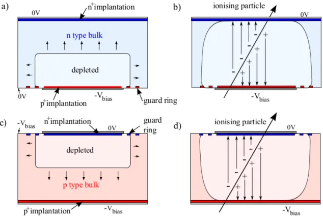 Figure 2.9: Growth of the depletion region and ionisation in depleted n-bulk (a,b) and p-bulk (c,d) diodes [28].