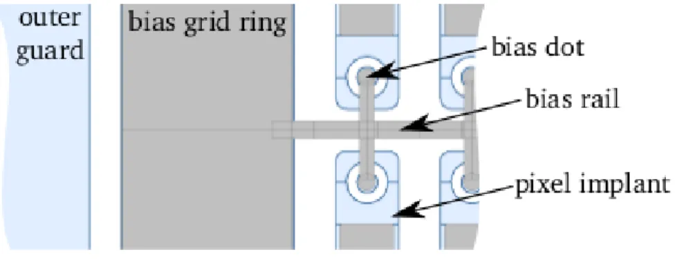Figure 3.6: Top view of the bias grid of the ATLAS pixel sensor. The n + implantation is blue, the metal grey [28].