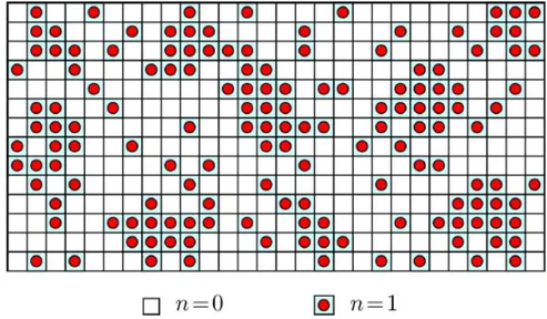 Figura 1.3.1: Rappresentazione grafica di un gas reticolare in due dimensioni. Lo spazio viene diviso in celle, le quali possono essere libere (n = 0) oppure occupate (n = 1)