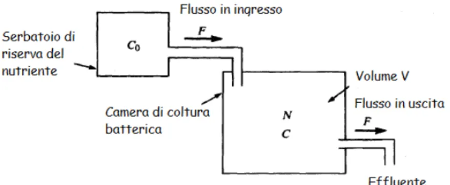 Figura 2.1: Schema del funzionamento del chemostato