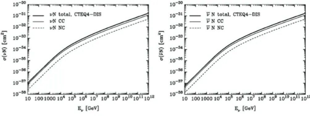 Figure 1.2: left: neutrino-nucleon cross section; right: antineutrino-nucleon cross section