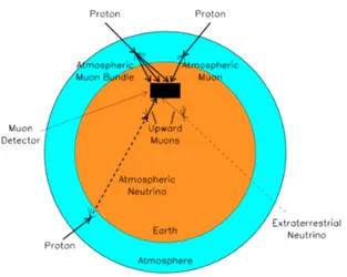 Figure 2.1: Illustration of the possible origin of events and background inside the telescope.