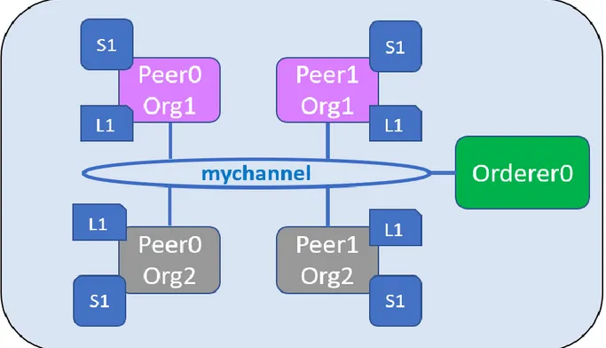 Figura 8: illustrazione dei principali componenti della rete 