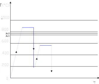 Figura 13Diagramma Temperatura tempo Isotermica  Figura 14Diagramma Temperatura tempo Bonifica Isotermica