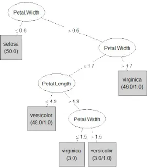 Figure 2.4: Decision Tree example on the Iris data-set, built using the well-known machine learning framework Weka.