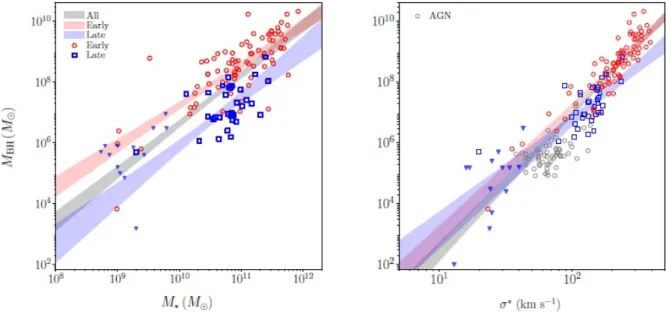 Figure 1.5: Left panel: relationship between the mass of the BH M BH and the stellar mass of the host system M ∗ for early-type (red circles), late-type (blue squares), and upper limits (blue triangles)