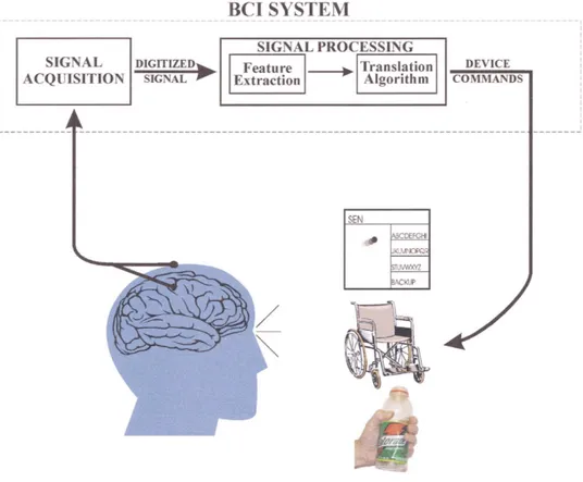 Figura 5 | Schema generale di un sistema BCI che mostra gli elementi comuni a tali sistemi, nonostante le diverse  possibili finalità