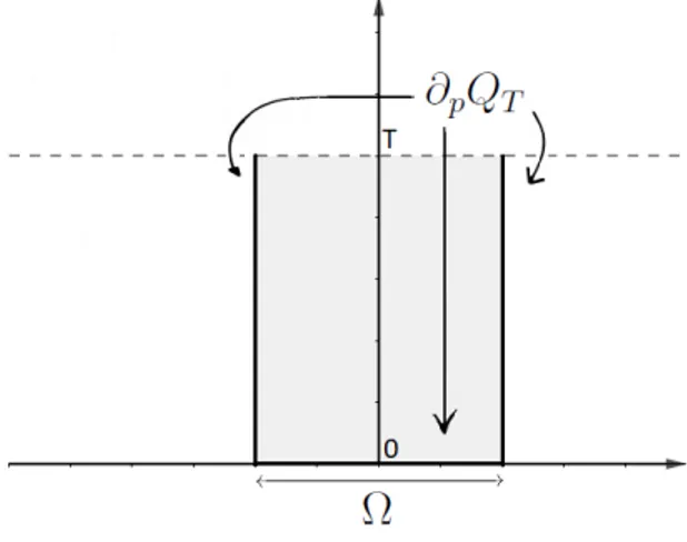 Figura 1.1: Bordo parabolico
