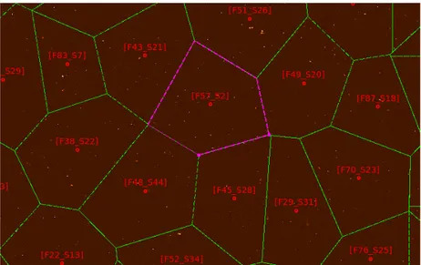 Figure 2.8: Tassellation into faced by the DDF pipeline. The image is zoomed in the facet (magenta ) that includes RBS797.