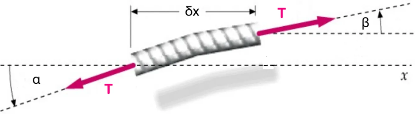 Figure 4.1. Representation of the infinitesimal element of the string 
