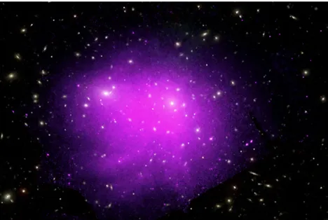 Figura 2.4: Un’immagine composita dell’ammasso della Chioma di Berenice, in cui si osservano in bianco le galassie che formano l’ammasso, mentre l’alone viola è la luminosità X dovuta al gas caldo