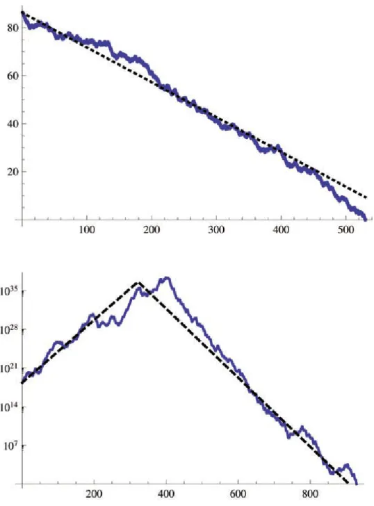 Figura 5: Due grafici presentati in [11]. Sopra: traiettoria di n = 100bπ ∗ 10 35 c, sotto: traiettoria di n = 1980976057694878447