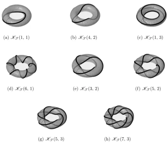 Figura 3.5: Nelle immagini soprastanti sono rappresentati esempi di nodi toroidali, cia- cia-scuno identificato attraverso la notazione K T (p, q)