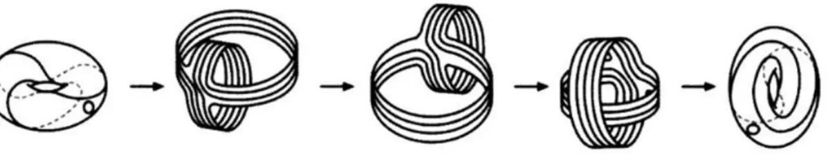 Figura 3.6: I nodi toroidali K T (p, q) e K T (q, p) sono equivalenti. Intuitivamente, si possono seguire i passaggi illustrati per verificare tale affermazione [ 1 ].