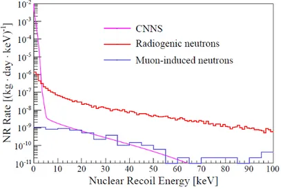 Figure 2.7: NR energy spectrum for backgrounds in 1 tonne fiducial volume. Considering that the ROI is defined in the [4, 50] keV range the dominant background contribution comes from radiogenic neutrons (red)