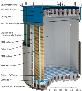 Figure 2.9: Illustration of the XENON1T TPC. The top and bottom PMT arrays are instrumented with 127 and 121 Hamamatsu R11410-21 PMTs, respectively [105]