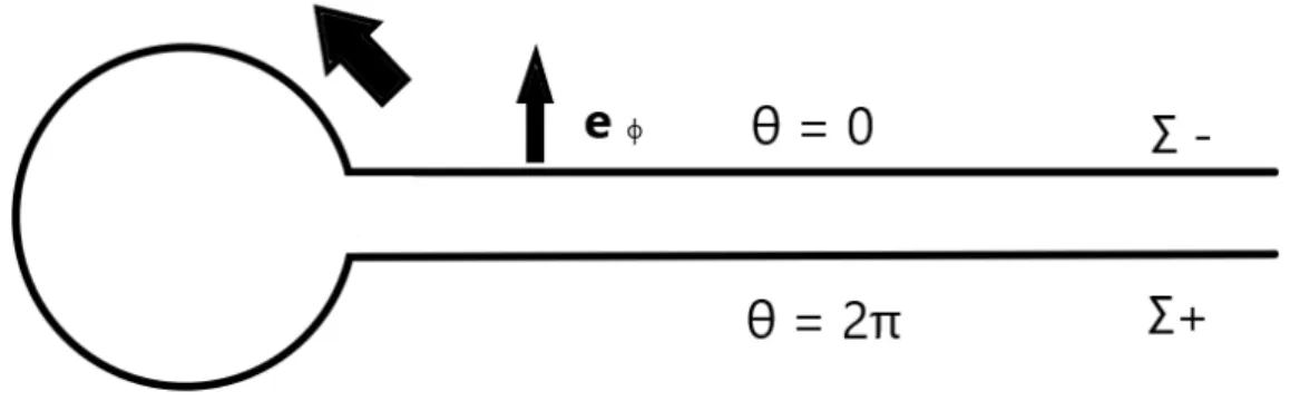 Figura 2.2: Taglio attraverso il quale l’angolo θ ` e discontinuo.