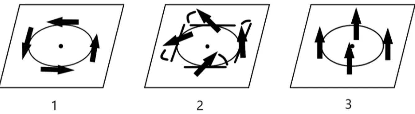 Figura 2.5: Sequenza di deformazioni che conducono allo stato totalmente allineato e perpendicolare al piano del vortice un vortice avente dimensione del parametro d’ordine pari a 3 e numero d’onda pari a 1.