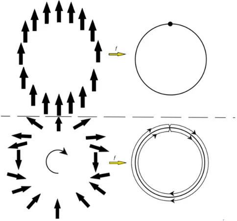 Figura 2.6: Orientazione spaziale su contorni circolari e spazio di parametro d’ordine realizzato dalla mappa a partire da tale contorno