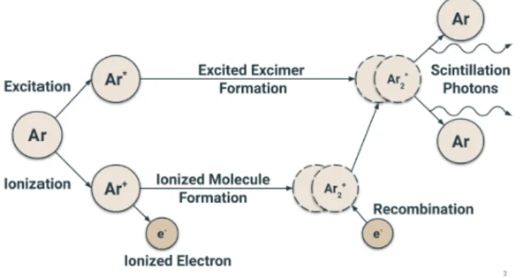 Figure 2.15: Schematic description of the scintillation light emission process in LAr.